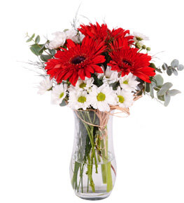 K�rm�z� Gerbera ve Papatya Vazosu
