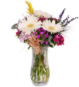 Beyaz Gerbera H�sn�yusuf Vazosu