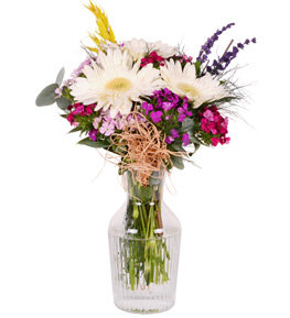 Vazoda H�sn�yusuf ve Beyaz Gerbera
