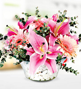 Camda Pembe Lilyum Gerbera