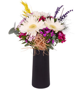 Siyah Vazoda H�sn�yusuf ve Gerbera