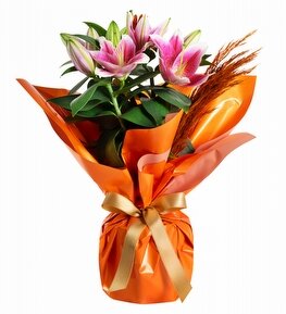 Turuncu Buket Ka��tl� Saks�da Pembe Lilyum