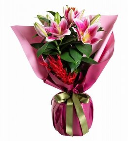 Fu�ya Ambalaj Ka��tl� Pembe Lilyum Bitkisi