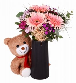 Pembe Gerbera H�sn�yusuf ve Pelu� Ay�c�k