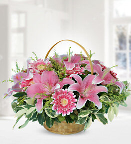 Pembe Lilyum ve Gerbera