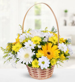 Beyaz Gerbera Sar� Krizantemler
