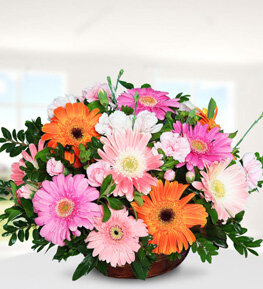 Renkli Gerbera Sepeti