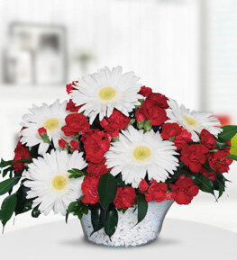 Beyaz Gerbera ve K�rm�z� Karanfiller