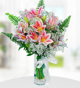 Pembe Lilyum �i�e�i