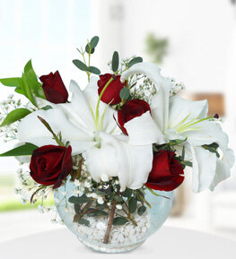 Akvaryumda Lilyum K�rm�z� G�l