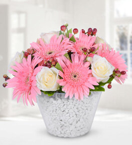 Seramikte Beyaz G�l ve Gerbera