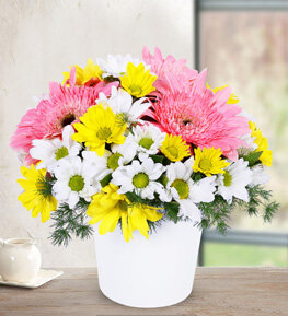 Pembe Gerbera ve Papatyalar