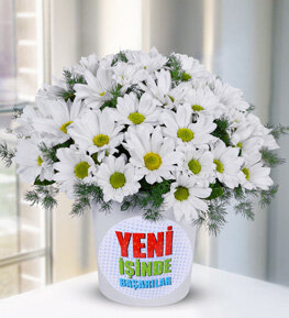 Yeni �� Temal� Vazoda Papatyalar