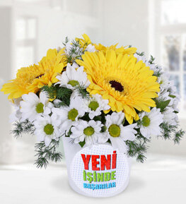 Yeni �� Temal� Sar� Gerbera ve Papatyalar