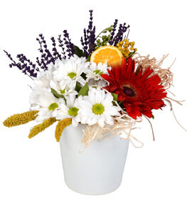 K�rm�z� Gerbera ve Papatyalar