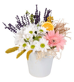 Pembe Gerbera Beyaz Papatya Aranjman�